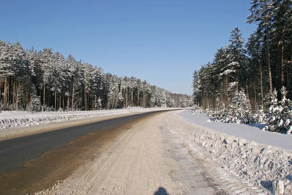 Winter Landscape Snowy Road Pine Forest Sunny Frosty Day — Stock Photo, Image