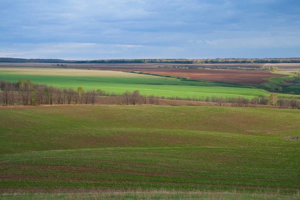 Yeşil tarlaların, ekilebilir arazilerin ve yağmurdan sonra bulutlu gökyüzünün güzel baharı.