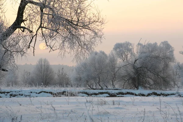 Vinterlandskap Vacker Solnedgång Över Ekdungen Hesparfrost — Stockfoto