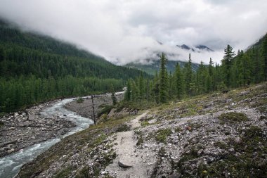 Muhteşem dağ manzarası nehri, orman ve yazın bulutlu gökyüzü.