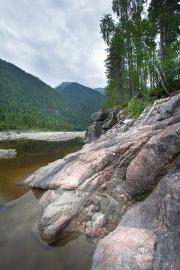 Muhteşem dağ manzarası nehri, orman ve yazın bulutlu gökyüzü.