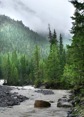 Muhteşem dağ manzarası nehri, orman ve yazın bulutlu gökyüzü.