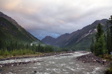 Muhteşem dağ manzarası nehri, orman ve yazın bulutlu gökyüzü.