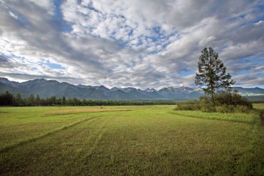 Muhteşem bir dağ manzarası. Doğu Sayan ormanlar ve derin bulutlu gökyüzü ile kaplı.