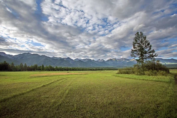 Muhteşem bir dağ manzarası. Doğu Sayan ormanlar ve derin bulutlu gökyüzü ile kaplı.