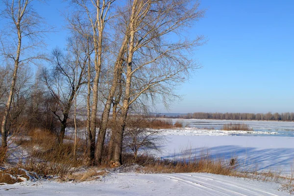 Winterlandschaft Fluss Mit Strahlend Blauem Himmel Und Bäumen Ufer Einem — Stockfoto