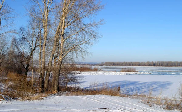 冬季山水清澈的蓝天和岸上的树木在一个阳光明媚的下午 — 图库照片
