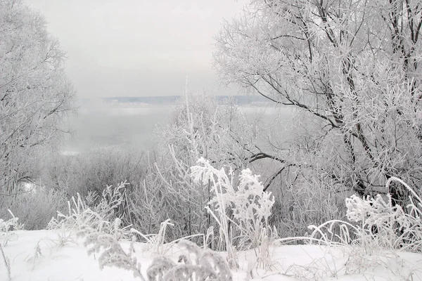 Zimowy Krajobraz Gęstej Mgły Rzece Lodu Drzew Pokrytych Mrozem Brzegu — Zdjęcie stockowe