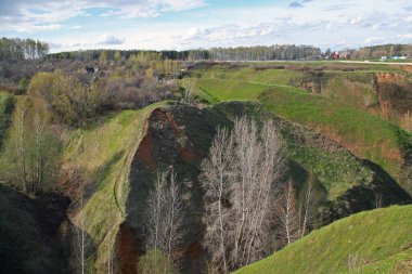 Yeşil sisli günde ufukta çimlerle ve huş ağaçlarıyla kaplı bahar vadileri.