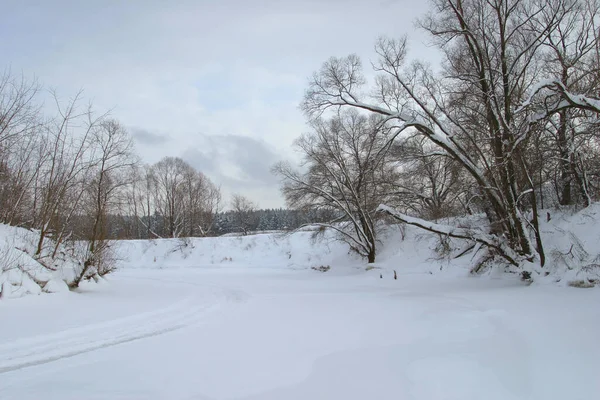 Zimowy Krajobraz Rzeka Lodzie Pokryte Śniegiem Drzewa Brzegu Pochmurny Dzień — Zdjęcie stockowe