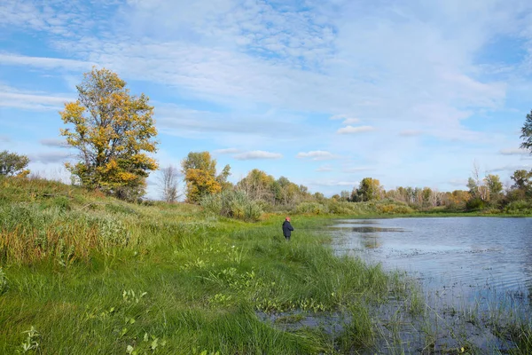 Manzaralı sonbahar manzarası sakin nehir kıyılarda sarı-yeşil ağaçlar ve mavi gökyüzünde beyaz bulutlar