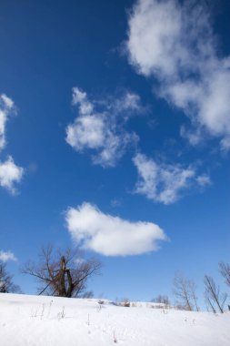 Manzaralı kış manzarası. Güneşli bir günde ağaçlardan gelen garip gölgeler.