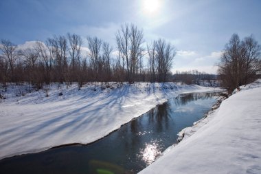 Sahilde yaprakları olmayan manzaralı nehir ağaçları ve güneşli bir baharın erken saatlerinde eriyen kar ve buzlar.
