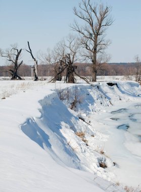 Güneşli bir baharda kıyı nehrinde yapraksız manzaralı ağaçlar.