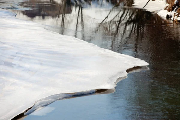 Sahilde yaprakları olmayan manzaralı nehir ağaçları ve güneşli bir baharın erken saatlerinde eriyen kar ve buzlar.