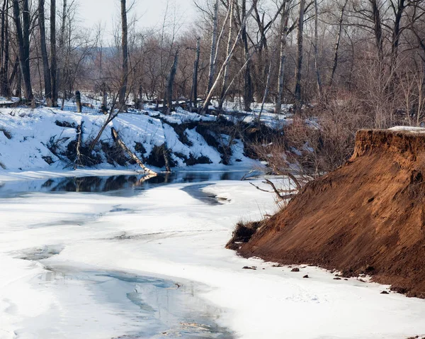 Sahilde yaprakları olmayan manzaralı nehir ağaçları ve güneşli bir baharın erken saatlerinde eriyen kar ve buzlar.