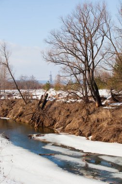 Sahilde yaprakları olmayan manzaralı nehir ağaçları ve güneşli bir baharın erken saatlerinde eriyen kar ve buzlar.
