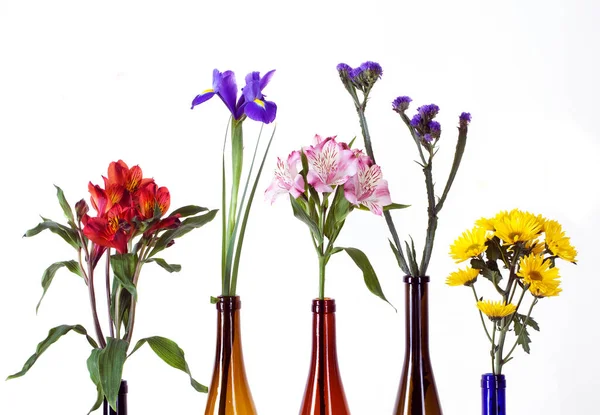 Close Beautiful Flowers Colorful Bottles White Background Studio — Stock Photo, Image