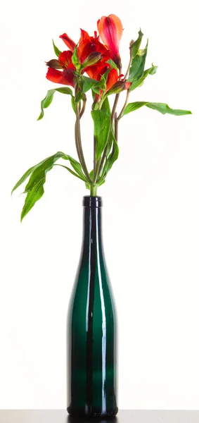 Beyaz Arka Plan Stüdyosunda Koyu Yeşil Bir Şişede Yeşil Yapraklı — Stok fotoğraf