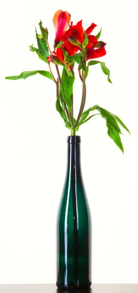 Beyaz Arka Plan Stüdyosunda Koyu Yeşil Bir Şişede Yeşil Yapraklı — Stok fotoğraf