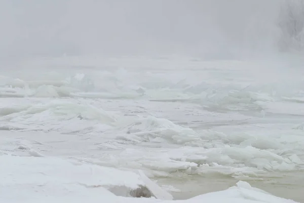얼음과 해변에 서리로 나무들에 안개가 — 스톡 사진