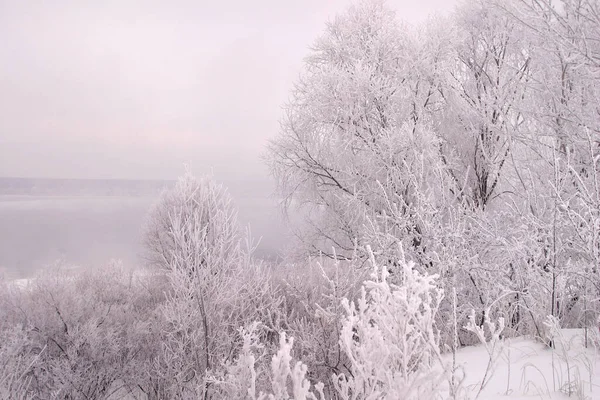 Зимний Пейзаж Густого Тумана Речном Льду Деревья Покрытые Морозом Берегу — стоковое фото