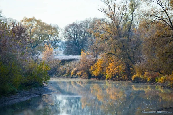川の近くに黄色の葉を持つ風光明媚な秋の風景オークの森 寒い朝に草の上に霜 — ストック写真