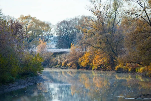 Paisaje Otoñal Escénico Roble Con Hojas Amarillentas Cerca Del Río — Foto de Stock