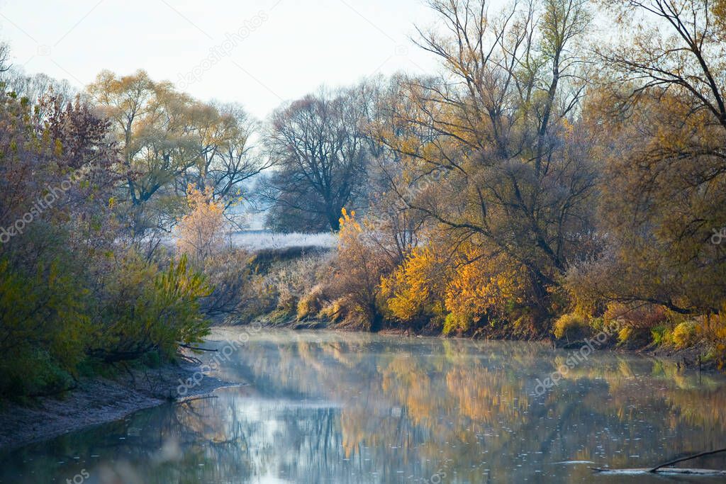 Scenic autumn landscape  oak grove with yellowed leaves near the river, frost on the grass on a cold morning