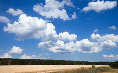Yaz manzarası güneşli bir günde açık mavi gökyüzünde güzel beyaz bulutlar.