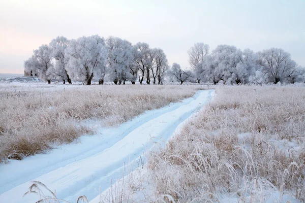 Paesaggio Invernale Strada Sterrata Innevata Vicino Boschetto Querce Una Giornata — Foto Stock