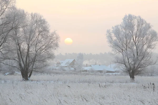 Зимний Пейзаж Дубов Сухой Травы Морозе Реки Закате — стоковое фото