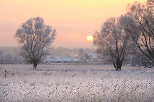 Vinter Landskap Ekar Och Torrt Gräs Frosten Vid Floden Vid — Stockfoto