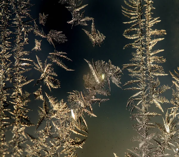 Macro Belos Padrões Intrincados Geada Vidro Dia Frio Inverno — Fotografia de Stock