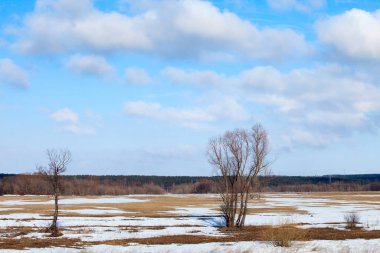 Geniş tarlalarda kar eriyor ilkbaharın başlarında, bulutlu bir günde gün batımında.