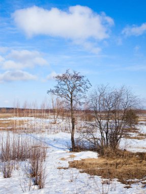 Geniş tarlalarda kar eriyor ilkbaharın başlarında, bulutlu bir günde gün batımında.