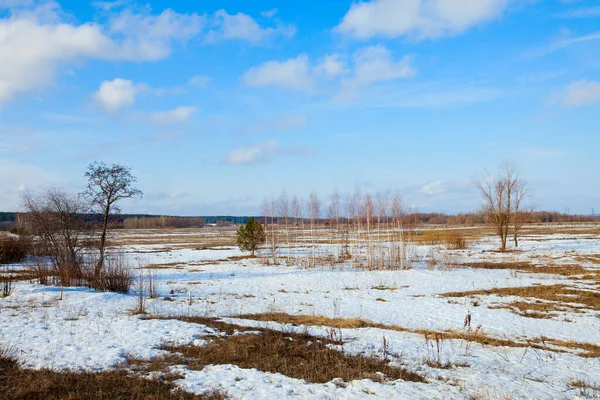 Snösmälta Vidsträckta Fälten Tidigt Våren Vid Solnedgången Molnig Dag — Stockfoto