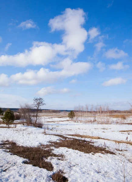 Snowmelt Vast Fields Early Spring Sunset Cloudy Day Stock Image