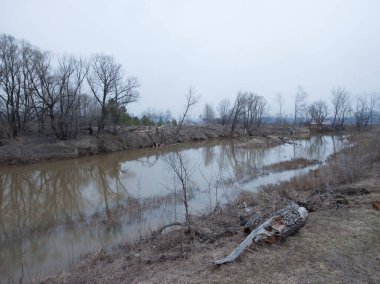 Nehir manzarası ve yaprakları olmayan ağaçlar sisli bahar sabahının erken saatlerinde