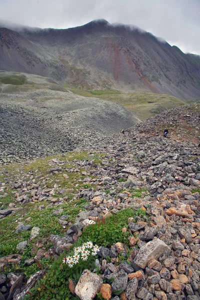 Vacker Sommar Berg Landskap Klippor Och Underbara Moln Blå Himmel — Stockfoto