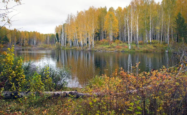 Scenic Autumn Landscape Colorful Foliage Forest River Cloudy Day — Stock Photo, Image