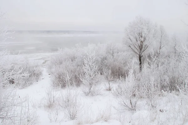 Vinterlandskap Med Tät Dimma Älvisen Och Träd Täckta Med Frost — Stockfoto