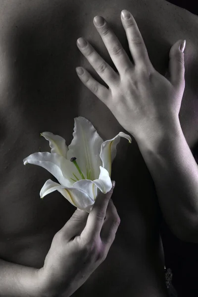 在赤身裸体的背景下 工作室黑暗的背景下 手中拿着精致的白色百合花 — 图库照片