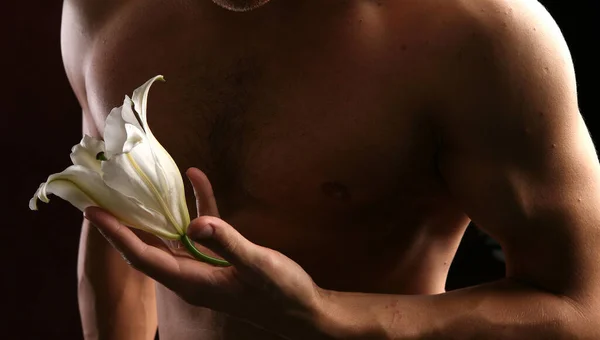 Nahaufnahme Einer Weißen Lilie Den Händen Vor Dem Hintergrund Eines — Stockfoto