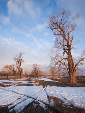 Geniş tarlalarda kar eriyor ilkbaharın başlarında, bulutlu bir günde gün batımında.