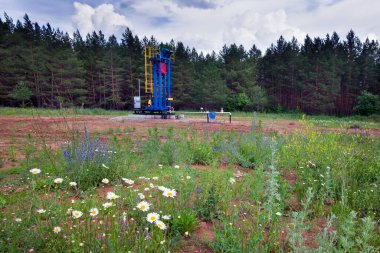 Yazın güneşli bir günde çam ormanının yakınındaki petrol pompaları