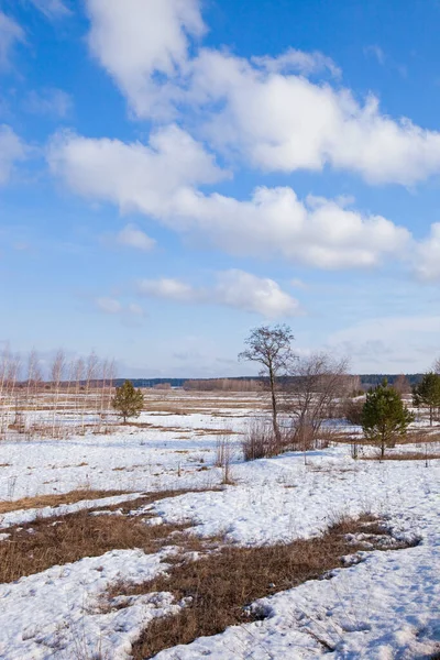 Nieve Derretida Los Vastos Campos Principios Primavera Atardecer Día Nublado —  Fotos de Stock