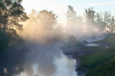 Yaz mevsiminde nehrin üzerinde sisli bir manzara sabahın erken saatlerinde gün doğumunda ve bir ağaç kıyısında.