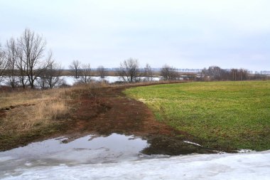 Baharın başlarında, eritilmiş karların altında yeni yeşil çimenlerin olduğu arazide bulutlu bir günde.