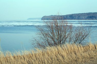 Nehir manzarası diseksiyonu ve ilkbaharın başlarında buz sürüklenmesi, kıyıdaki yapraksız ağaçlar ve bulutlu gökyüzü